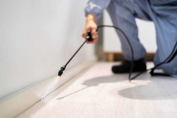 Licensed Cockroach Control service in Carson City, MI - Nex Pest Control