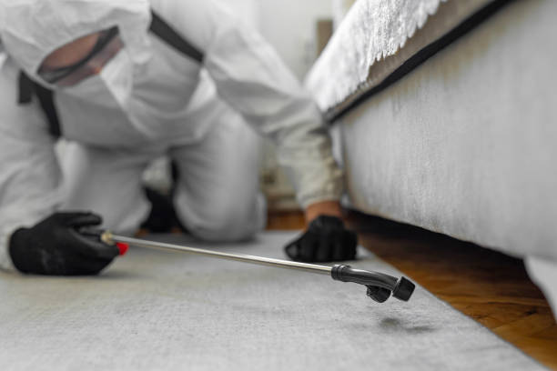 Professional Cockroach Control technician working in Carson City, MI