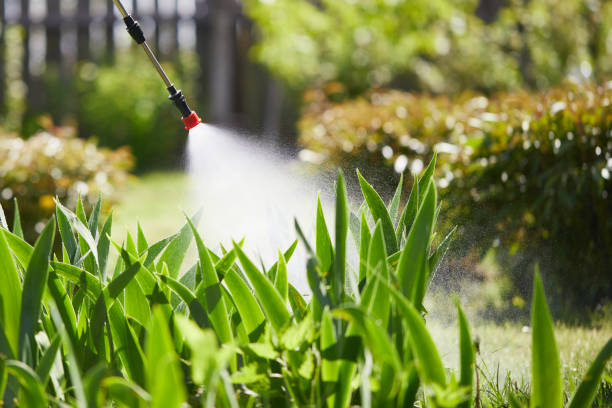 24/7 Emergency Cockroach Control experts in Carson City, MI