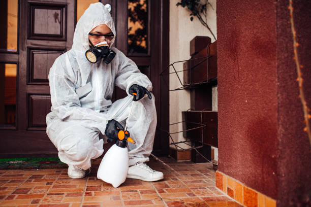 Reliable Cockroach Control contractor in Carson City, MI by Nex Pest Control