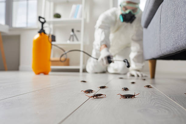 Affordable Cockroach Control solutions in Carson City, MI