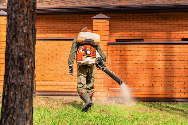 Top rated local Cockroach Control specialists in Carson City, MI